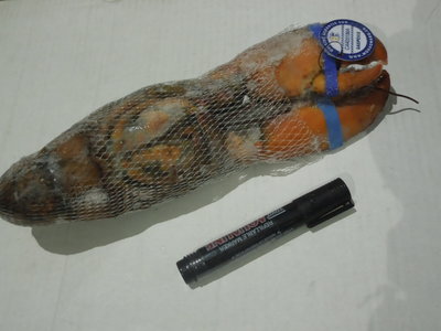 加拿大波士頓龍蝦 2014年新貨原裝進口，大連綜研水產直供餐飲批發