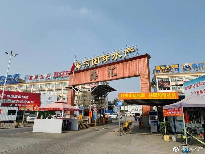 加拿大北極蝦，新鮮直供廣州海河水產(chǎn)批發(fā)市場