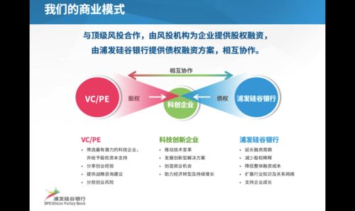 干貨滿滿 未來(lái)農(nóng)業(yè)食品科技創(chuàng)新玩家精彩碰撞下的信息技術(shù)咨詢服務(wù)